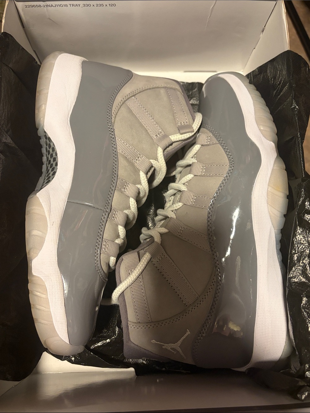Jordan 11 Retro Cool Grey Sneakers
